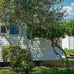 Mobile-home 3 Avec Terrasse - Api-1-52-894