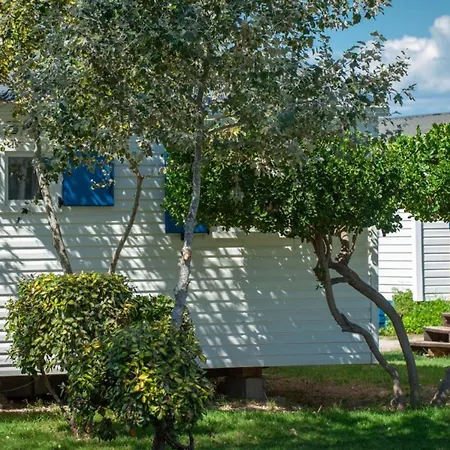 Mobile-home 3 Avec Terrasse - Api-1-52-894