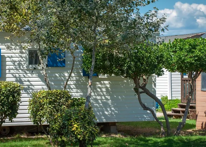 Mobile-home 3 Avec Terrasse - Api-1-52-894